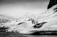 Black & White-photos